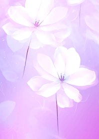 Beautiful Flower Series #7