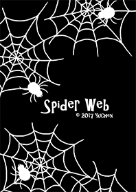 Spider Web 4