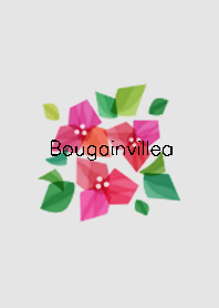 Bougainvillea_01