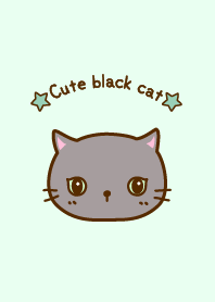 Cute black cat with green eyes 02[W]