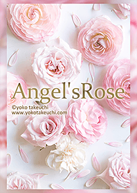 天使的玫瑰“柔和的粉紅玫瑰”