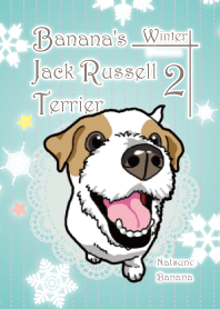 Banana's Jack Russell terrier Winter 2