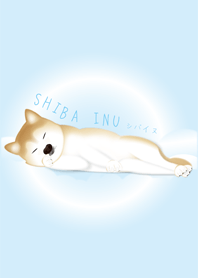 SLEEPY SHIBA INU THEME (BLUE)