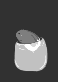 mouse staring - 4