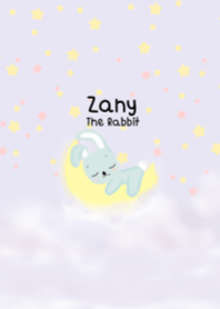 Zany The Rabbit