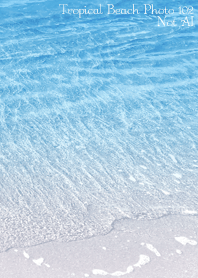 Tropical Beach Photo102 Not AI