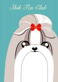 Long Coat Shih Tzu Club