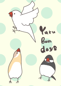 ゆるゆる文鳥でいず