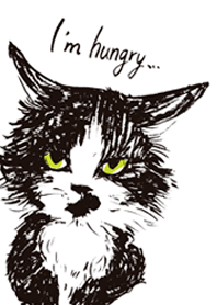 Hungry cat mush