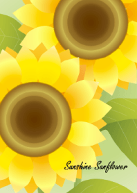 Sunshine Sunflower