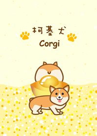 柯基愛金元寶