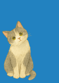 Cat tilting its head2 on blue