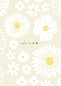 various white flowers10 from Japan