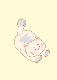 Cute Kitten 26