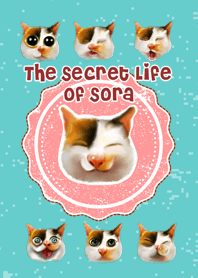The Secret Life of Sora Theme