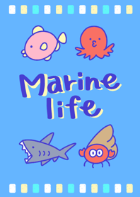 かわいい海の生物たち
