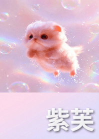 Floating Bubble Kitten
