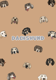 dachshund4 / burly wood