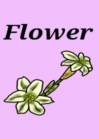Simple the flower