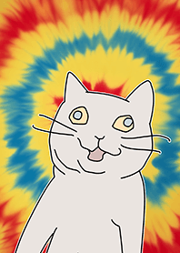 獲得一切真理的貓 2