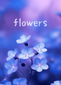Beautiful Flower Series #4