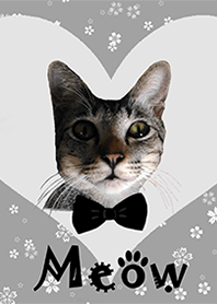 Meow Cat