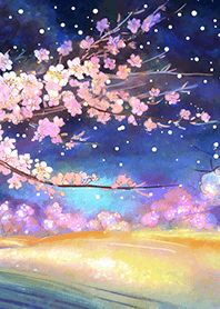 Beautiful night cherry blossoms#1120