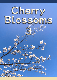Cherry Blossoms Theme 3(Beige+Navy Blue)