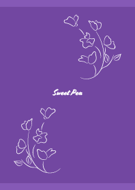 Sweet Pea on purple JP