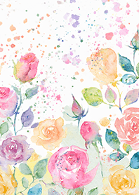 Beautiful rose flower(R4050)