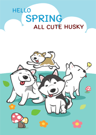 Husky: Hello Spring
