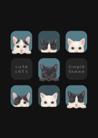 CATS - Mixed breed cat 02 - CLASSY BLUE