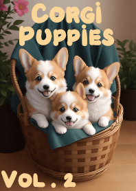 籃子裡的柯基犬小狗狗 VOL.2