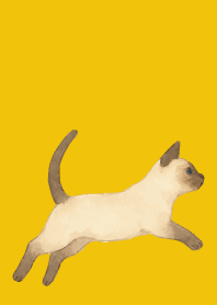 Siamese cat holiday04 on yellow