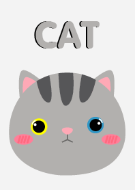 Simple Cute Face Gray Cat Theme