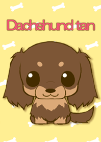 Dachshund tan