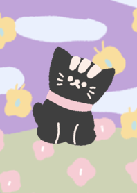 q tie the black kitten