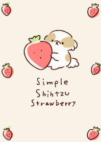 simple Shih Tzu strawberry beige