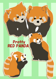 Pretty RED PANDAs