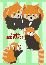 可愛いレッサーパンダ