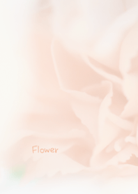 Flower Theme 21