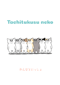 A cat standing with a friends.