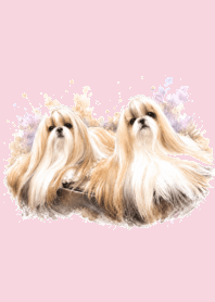SHIH TZN GREENGREEN & VIVI 2