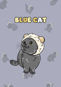 bluecat2 / mist purple