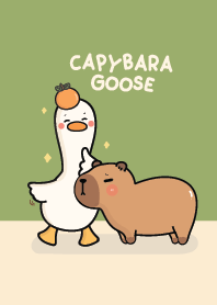 Capybara & Goose Green!