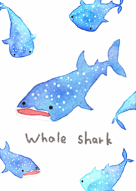Whale sharks will heal you9