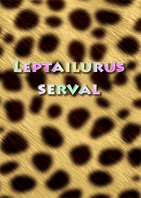 Leptailurus serval pattern