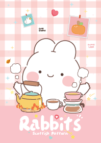 กาตุ่ย สก็อตติช x น่ารัก