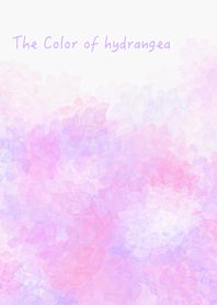 The color of hydrangea
