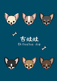 Love Chihuahuas!(Qinghai Tibetan color)